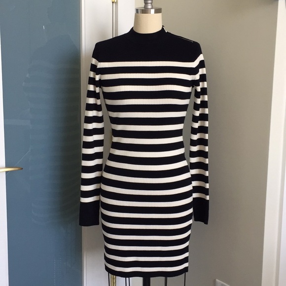 everlane turtleneck dress